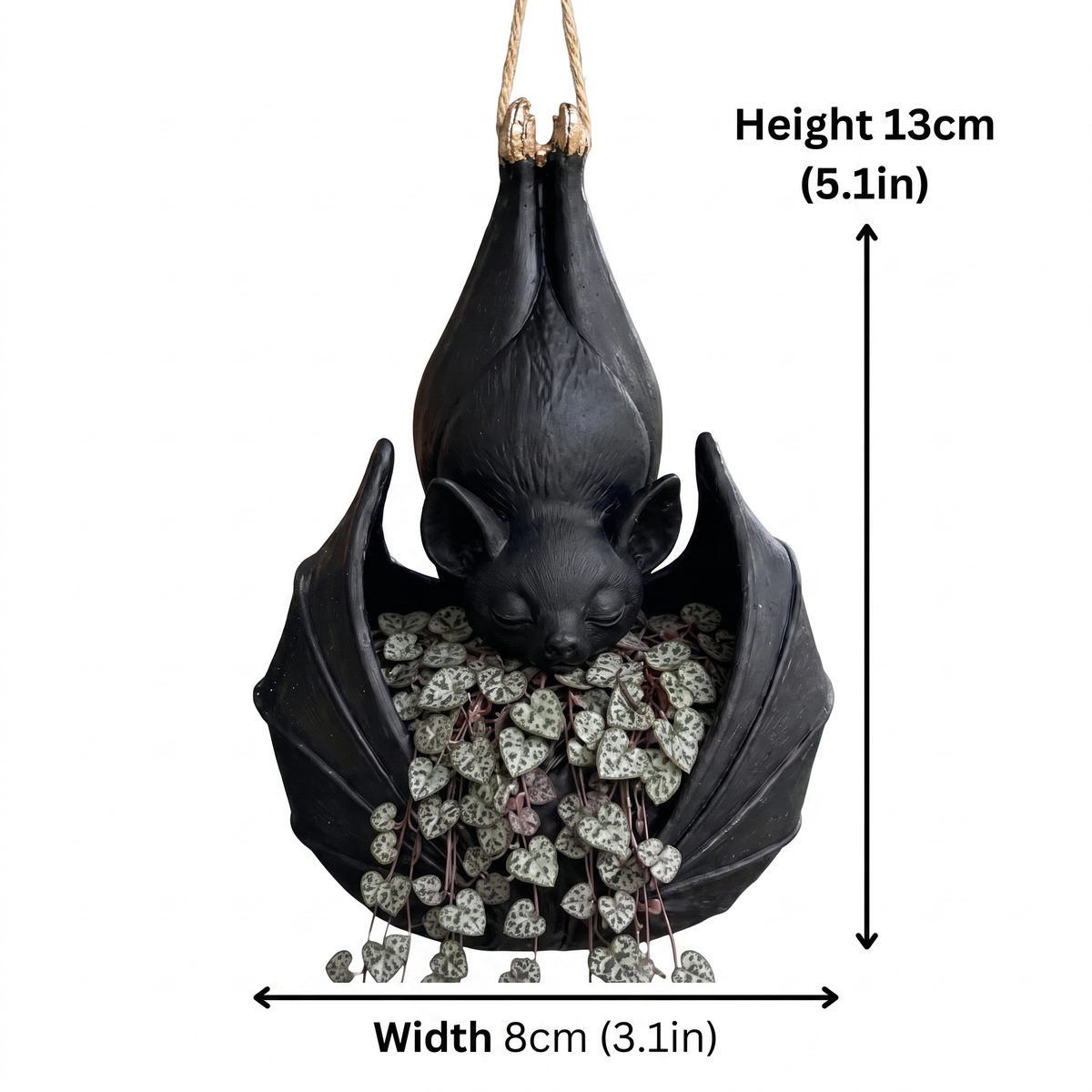 Bat Plant Pot