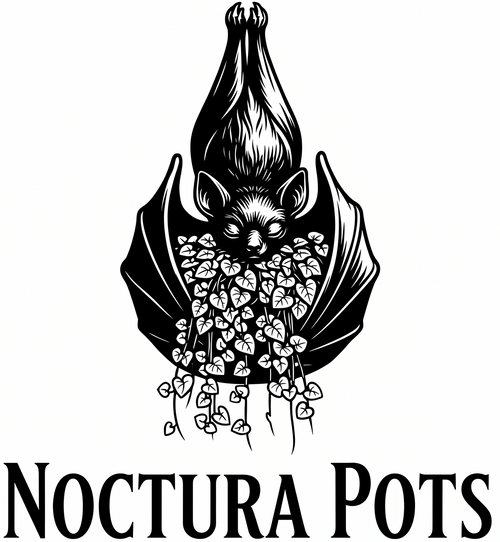 Noctura Pots