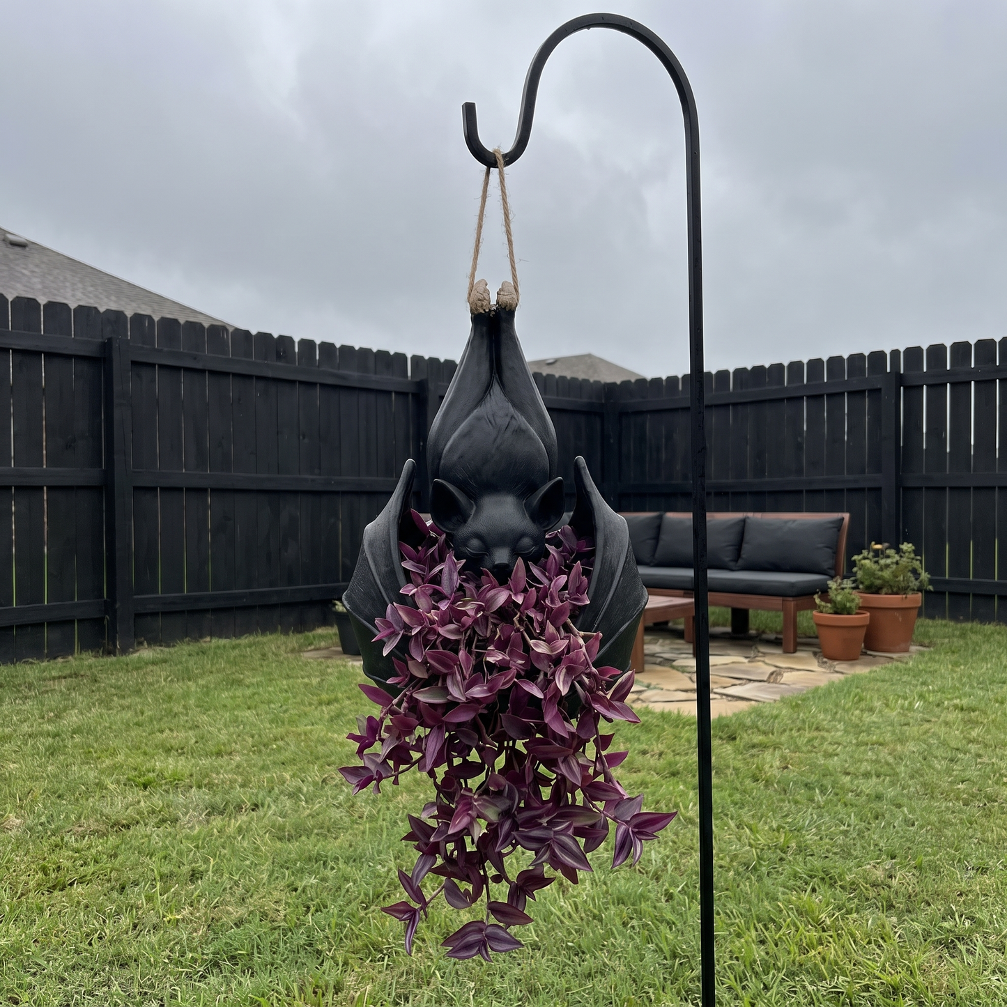 Bat Plant Pot